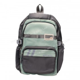 Спортивні рюкзаки FA6601 gray-green