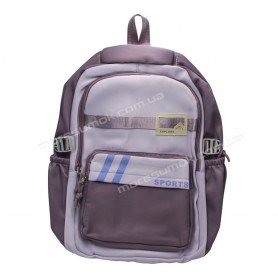 Спортивні рюкзаки FA6601 purple