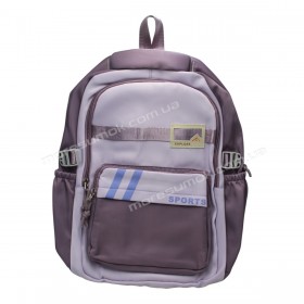 Спортивні рюкзаки FA6601 purple