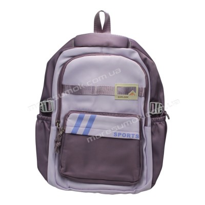 Спортивні рюкзаки FA6601 purple