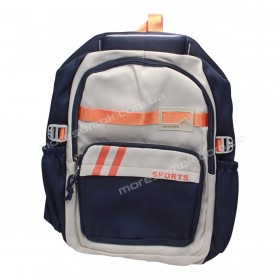Спортивні рюкзаки FA6601 blue