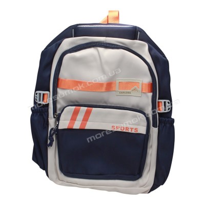 Спортивні рюкзаки FA6601 blue