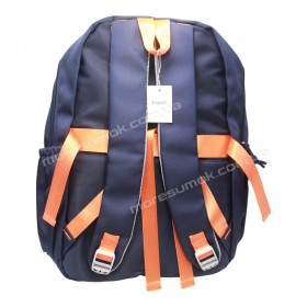 Спортивні рюкзаки FA6601 blue