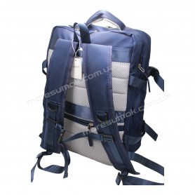 Спортивні рюкзаки XZ8302 blue