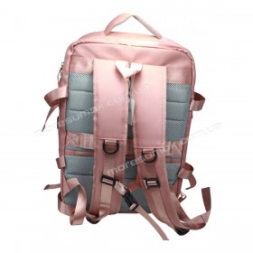 Спортивные рюкзаки XZ8302 pink