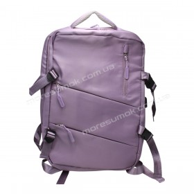 Спортивные рюкзаки XZ8302 purple