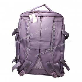 Спортивные рюкзаки XZ8210 purple