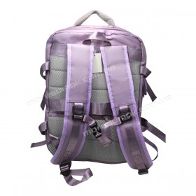 Спортивные рюкзаки XZ8301 purple