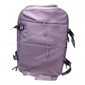 Спортивные рюкзаки XZ8303 purple