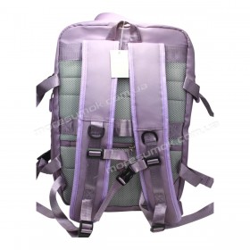 Спортивные рюкзаки XZ8303 purple