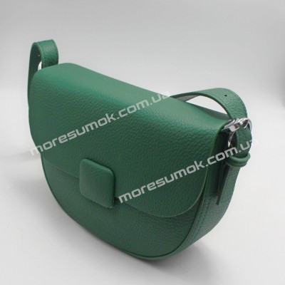 Сумки кросс-боди 2816 green