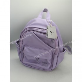 Жіночі рюкзаки MH-831226 purple