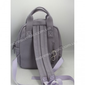 Женские рюкзаки MH-1727 purple Женские рюкзаки MH-1727 purple