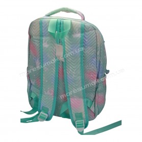 Спортивні рюкзаки YB1615 green
