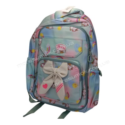 Спортивні рюкзаки YB1608 light green