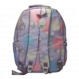 Спортивні рюкзаки YB1601 purple