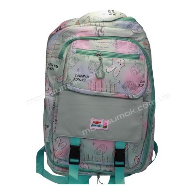 Спортивні рюкзаки YB1610 light green