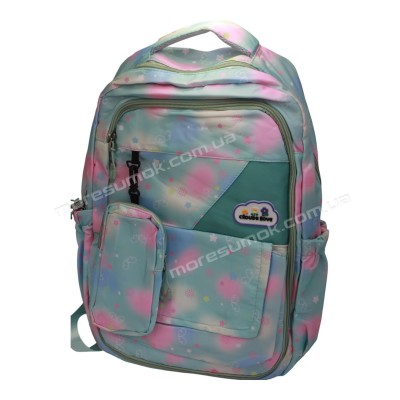Спортивні рюкзаки YB1604 green