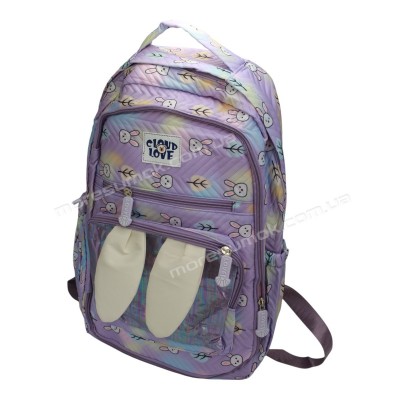Спортивні рюкзаки YB1618 purple