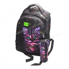 Шкільні ранці FA-11 black Шкільні ранці FA-11 black