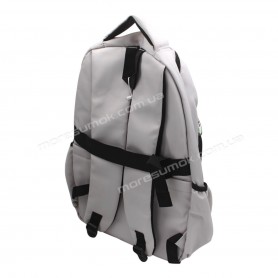 Спортивні рюкзаки 501 light gray