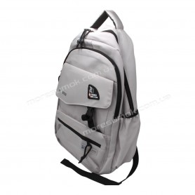Спортивні рюкзаки 391 light gray
