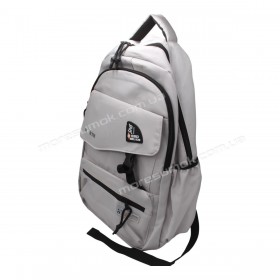 Спортивні рюкзаки 391 light gray