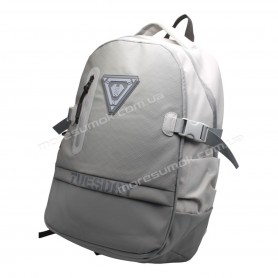 Спортивні рюкзаки 2501 gray