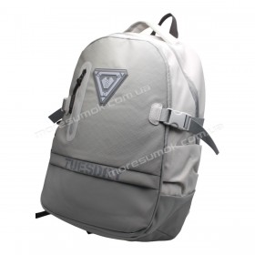 Спортивные рюкзаки 2501 gray