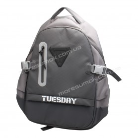 Спортивні рюкзаки 2501 dark gray