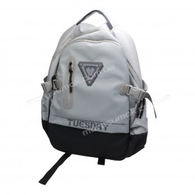 Спортивні рюкзаки 2501 light gray Спортивні рюкзаки 2501 light gray