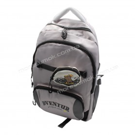 Спортивные рюкзаки N-3231 gray