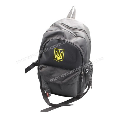 Спортивні рюкзаки 0113 black