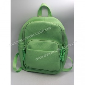 Жіночі рюкзаки MH-831215 light green