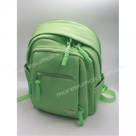 Женские рюкзаки MH-831217 light green