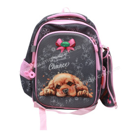 Школьные рюкзаки C011 gray