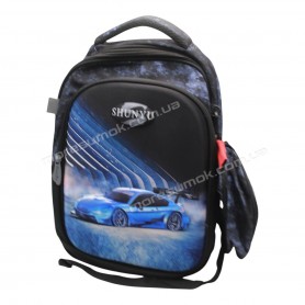 Школьные рюкзаки C300 black