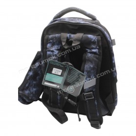Школьные рюкзаки C300 black