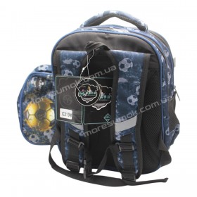 Школьные рюкзаки C319 blue