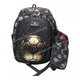 Школьные рюкзаки C319 black