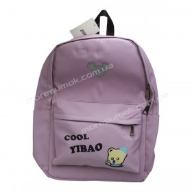 Спортивные рюкзаки 2068 purple