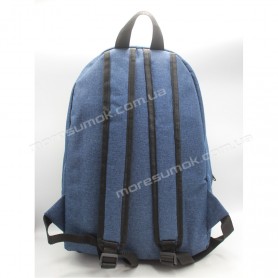 Спортивные рюкзаки fem-046 Pu blue