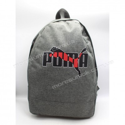 Спортивні рюкзаки fem-046 Pu gray
