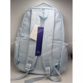 Спортивные рюкзаки 391 light blue