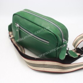 Сумки кросс-боди 105 green