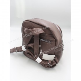 Жіночі рюкзаки 6813 cement ash Жіночі рюкзаки 6813 cement ash