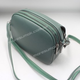 Сумки кросс-боди 2936 green Сумки кросс-боди 2936 green