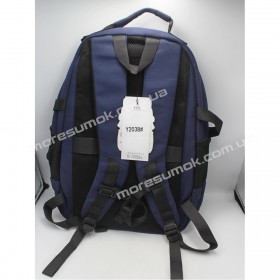Спортивные рюкзаки Y2038 blue
