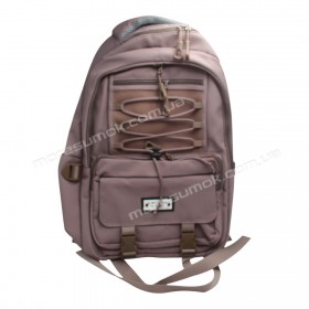 Спортивные рюкзаки LD9850 pink