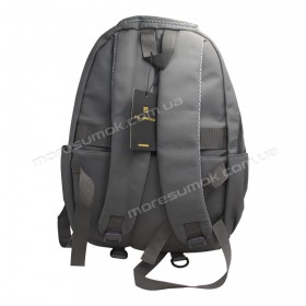 Спортивные рюкзаки LD9850 gray